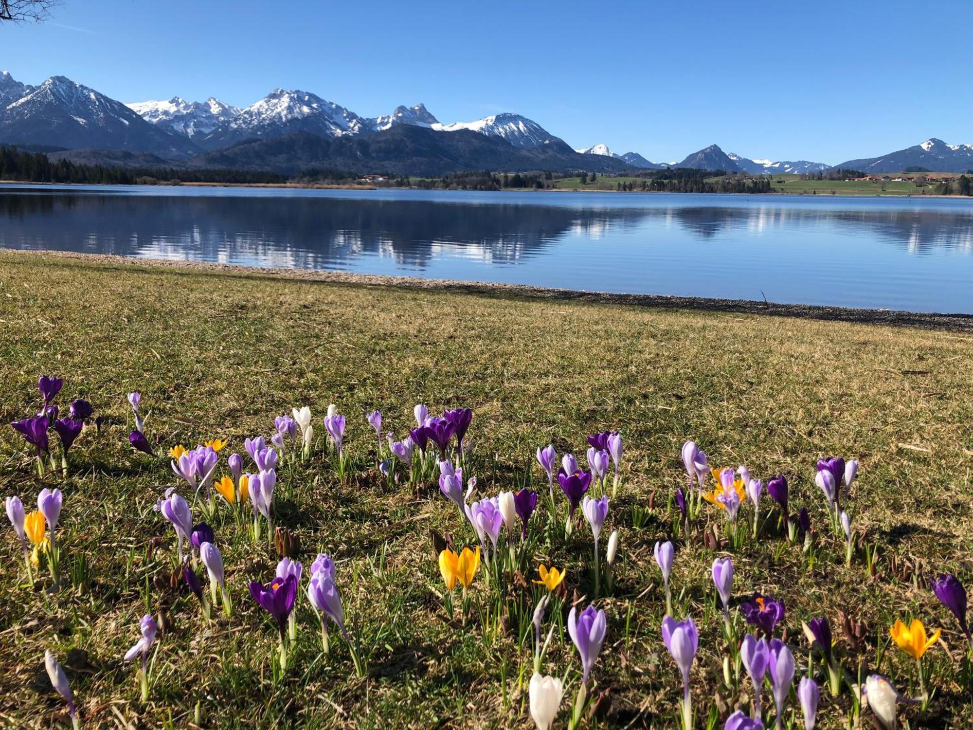Biohotel Eggensberger Fussen Bagian luar foto